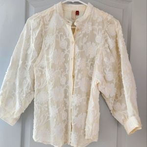 Anthropologie Pilcro appliqué embroidered cream and white blouse, XS